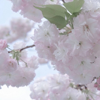 Furry绘画避坑实用指南福瑞交流群